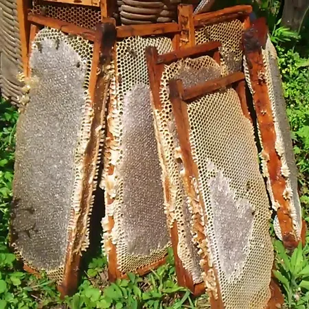 ფიჭიანი თაფლი -სკიდან ამოღებული, თაფლით და ცვილით გადატკეპნილი მთლიანი თაფლიანი ჩარჩო